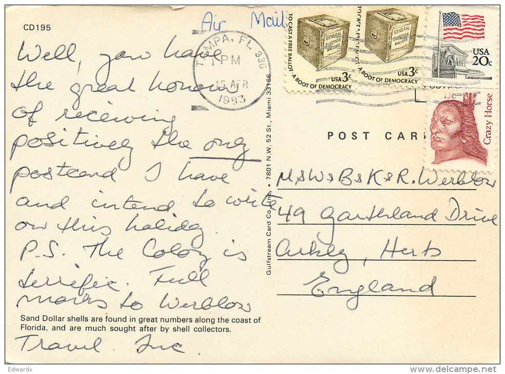 Sand Dollar Shells, Florida, United States US Postcard Posted 1983 Stamp - Autres & Non Classés