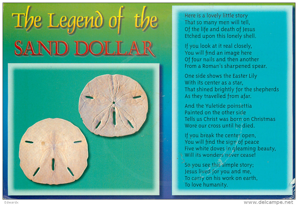 Sand Dollar Shells, Florida, United States US Postcard Posted 2012 Stamp - Autres & Non Classés