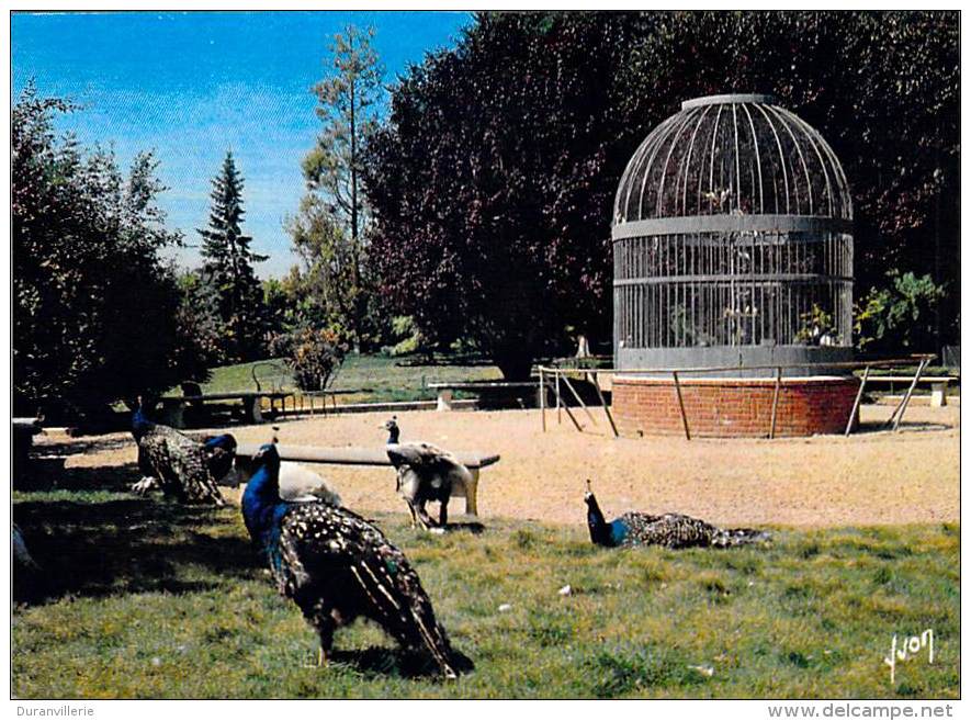 14 - ZOO De BELLENGREVILLE En CALVADOS - Volière De Plein Air. Paon. - Autres & Non Classés