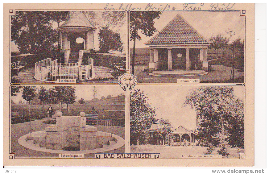 AK Bad Salzhausen - Mehrbildkarte - Quellen Und Trinkhalle - 1925 (25647) - Wetterau - Kreis