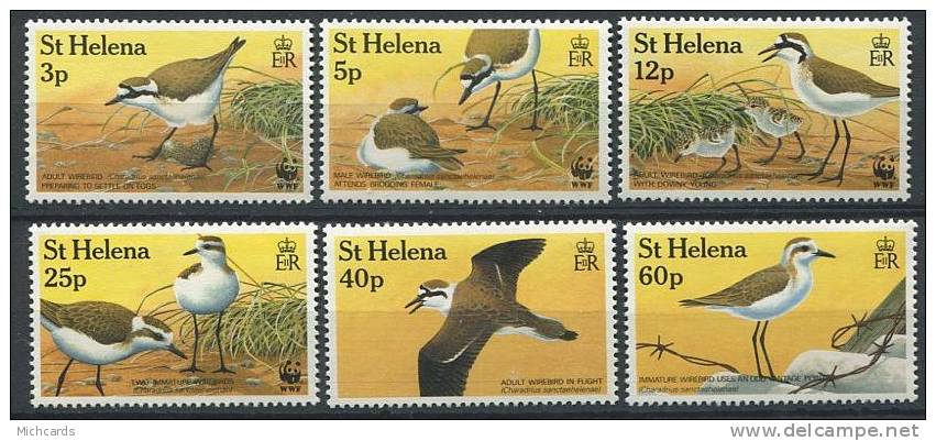 104 SAINTE HELENE 1993 - Oiseau Pluvier - Neuf Sans Charniere (Yvert 586/91) - Saint Helena Island