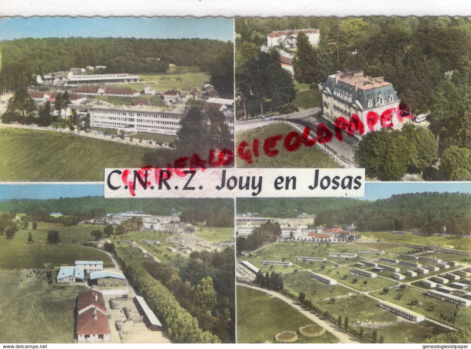 78 - JOUY EN JOSAS - CNRZ - LE LABORATOIRE - LE CHATEAU - LE PARC AVICOLE - Jouy En Josas