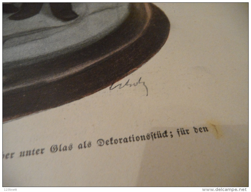 12 Zeitschriften SIMPLICISSIMUS Aus Dem Jahre 1906 - Sonstige & Ohne Zuordnung