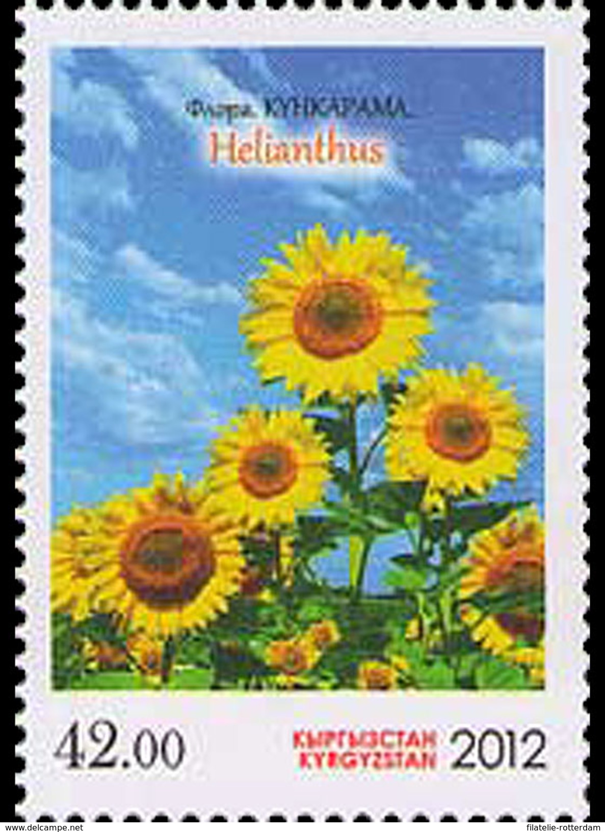 Kirgizië / Kyrgyzistan - Postfris / MNH - Flora 2012 - Kirghizstan