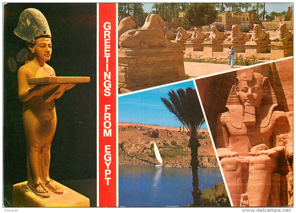 Multiview, Egypt Postcard Unposted - Autres & Non Classés