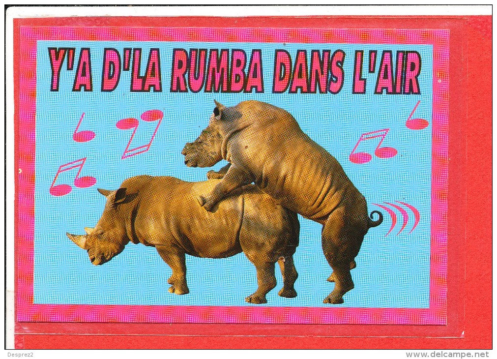 RHINOCEROS Cp  Humour Y A De La Rumba Dans L  'air - Rhinocéros