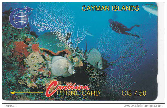 ILES CAYMAN Lot4 - Iles Cayman