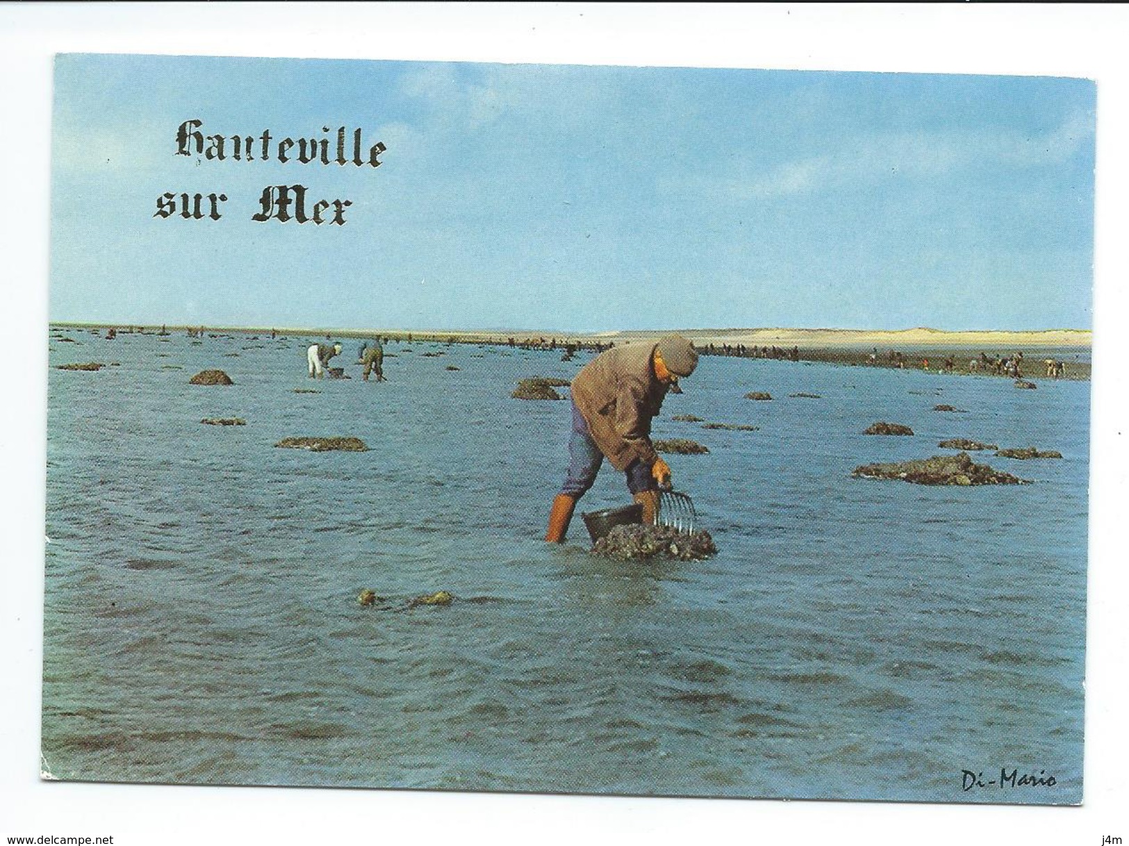 50/ MANCHE... HAUTEVILLE Sur MER. Pêche à Pied - Sonstige & Ohne Zuordnung