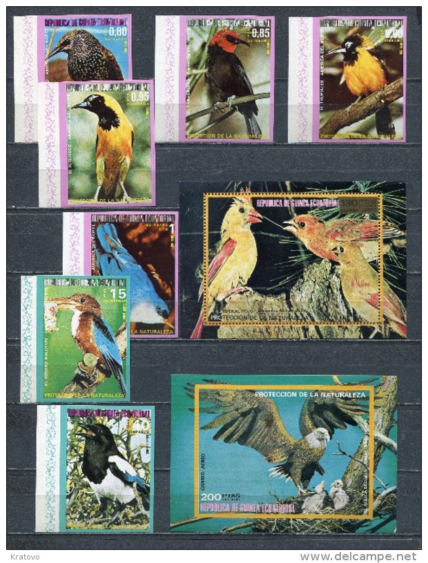 EQUATORIAL GUINEA 1976  Mi # 1007 - 1013 + Block 250 + 251 BIRDS AMERICA DEL NORTE COLOR VARIETY IMPERF MNH - Equatorial Guinea