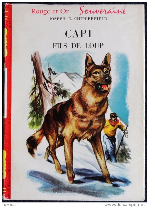 Joseph E. Chipperfield - CAPI  Fils De Loup  - Bibliothèque Rouge Et Or Souveraine - ( 1954 ) . - Bibliotheque Rouge Et Or