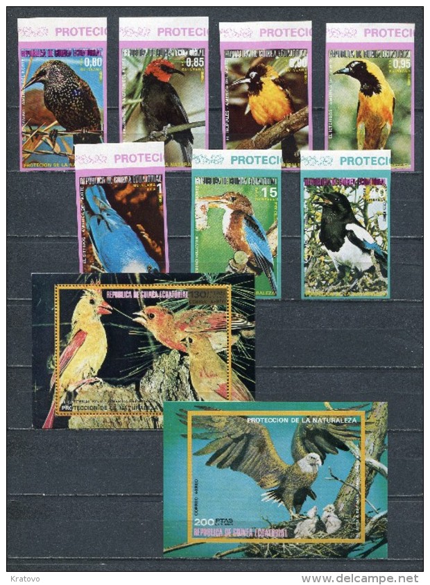 EQUATORIAL GUINEA 1976  Mi # 1007 - 1013 + Block 250 + 251 BIRDS AMERICA DEL NORTE COLOR VARIETY IMPERF MNH - Equatorial Guinea