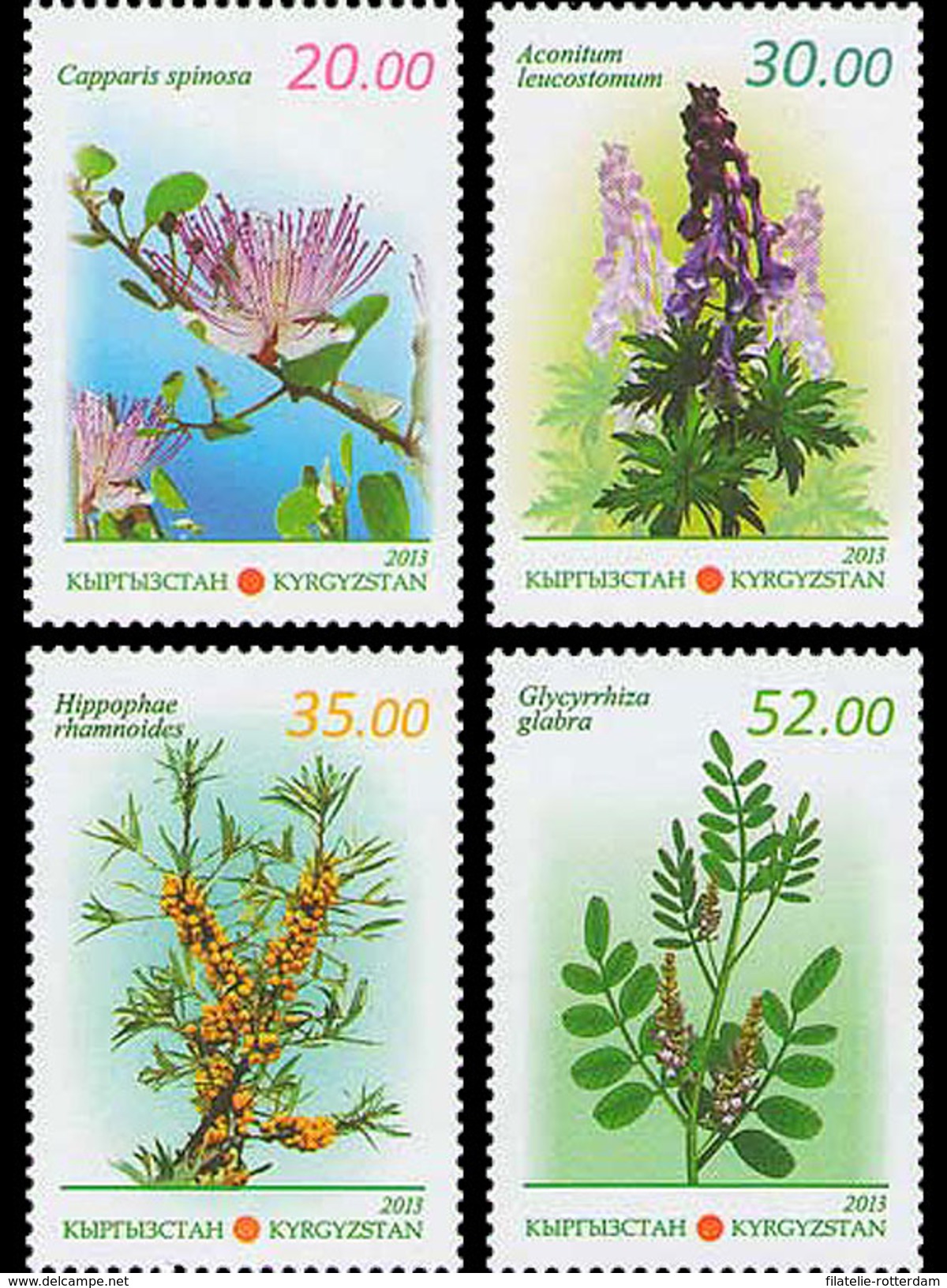 Kirgizië / Kyrgyzistan - Postfris / MNH - Complete Set Medicinale Planten 2013 - Kirgizië