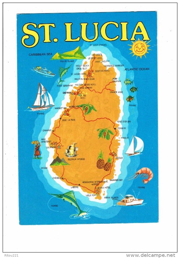 Cpm - Carte Géographique - Antilles - SAINTE-LUCIE - ST-LUCIA - DESSIN ESPADON Ananas Crevette Poisson - Saint Lucia