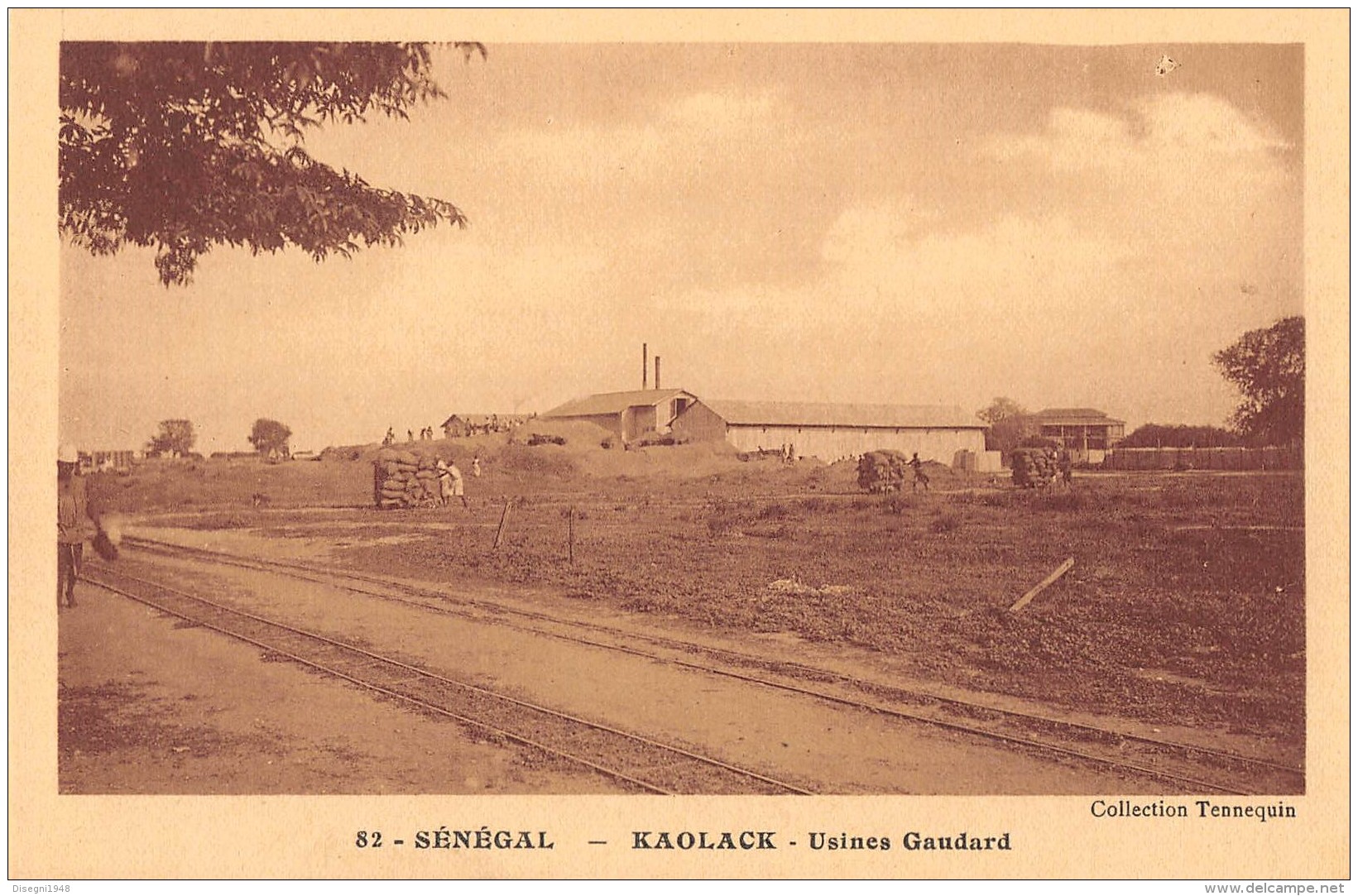 06393  "SENEGAL -  KAOLACK - USINES GAUDARD" CART. ILL. ORIG. NON SPED. - Senegal