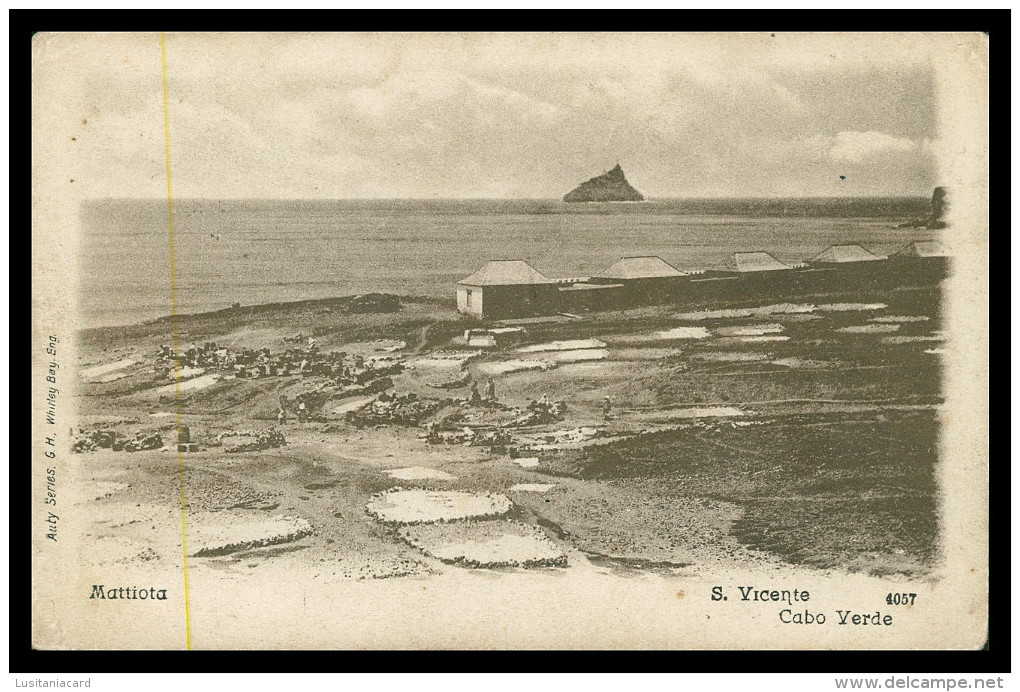 SÃO VICENTE - MATTIOTA ( Ed. G.H. Wtley Bay Nº 4057) Carte Postale - Cap Verde
