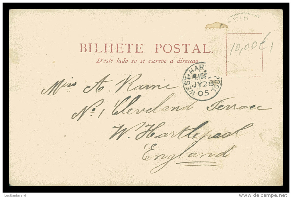 SÃO VICENTE - MATTIOTA ( Ed. G.H. Wtley Bay Nº 4057) Carte Postale - Cap Verde