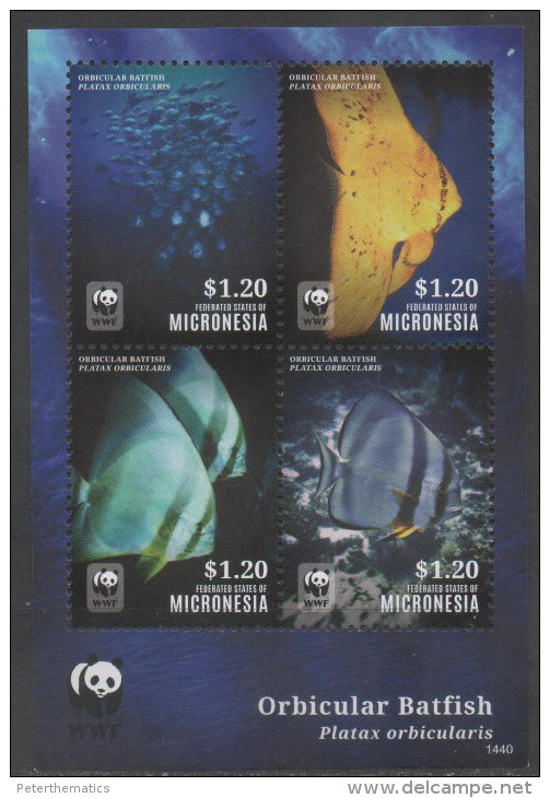 MICRONESIA , 2014, MNH, WWF,FISH,  BATFISH, LIMITED EDITION, SHEETLET OF 1 SET - Other & Unclassified