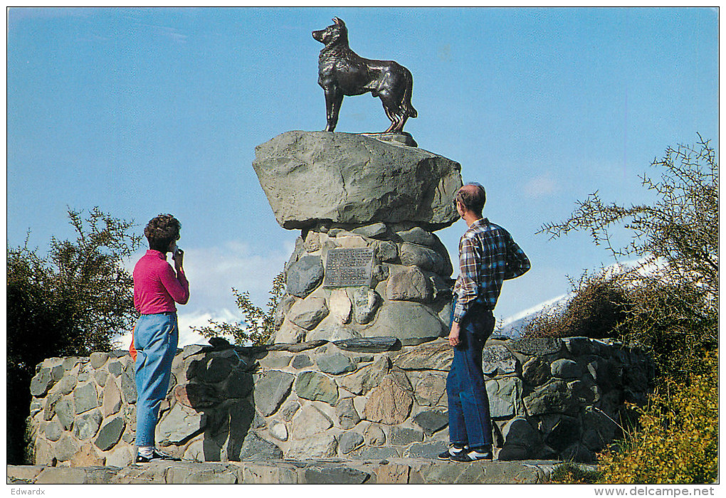 Sheep Dog Monument, Tekapo, New Zealand Postcard Posted 1995 Stamp - New Zealand