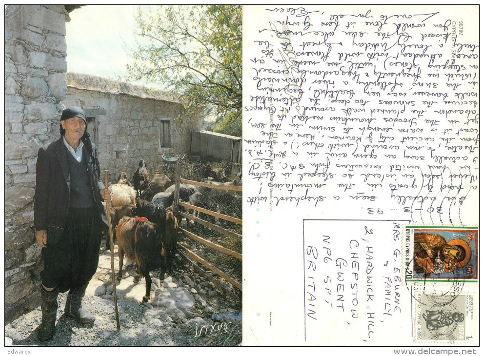 Shepherd, Goats, Cyprus Postcard Posted 1993 Stamp - Chipre