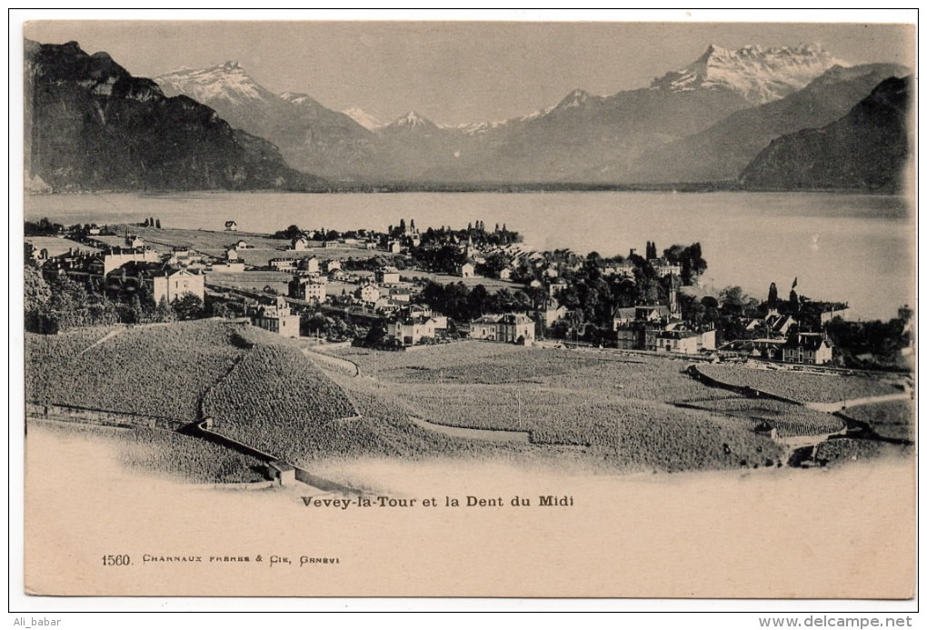 Vevey La Tour Et La Dent Du Midi (Editeurs Charnaux Frères Et Cie, Genève, N°1560) - Vevey