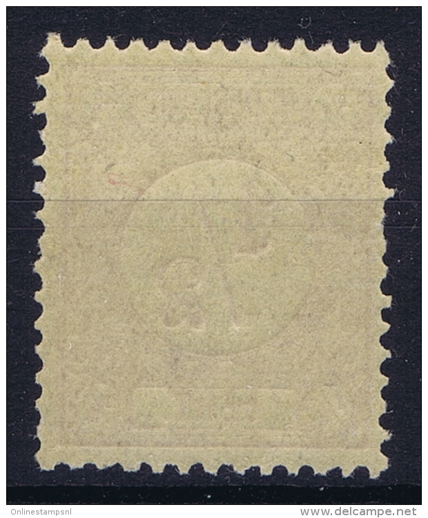 Netherlands : 1876  NVPH Nr 30   MNH/**/postfrisch/neuf Sans Charniere - Unused Stamps