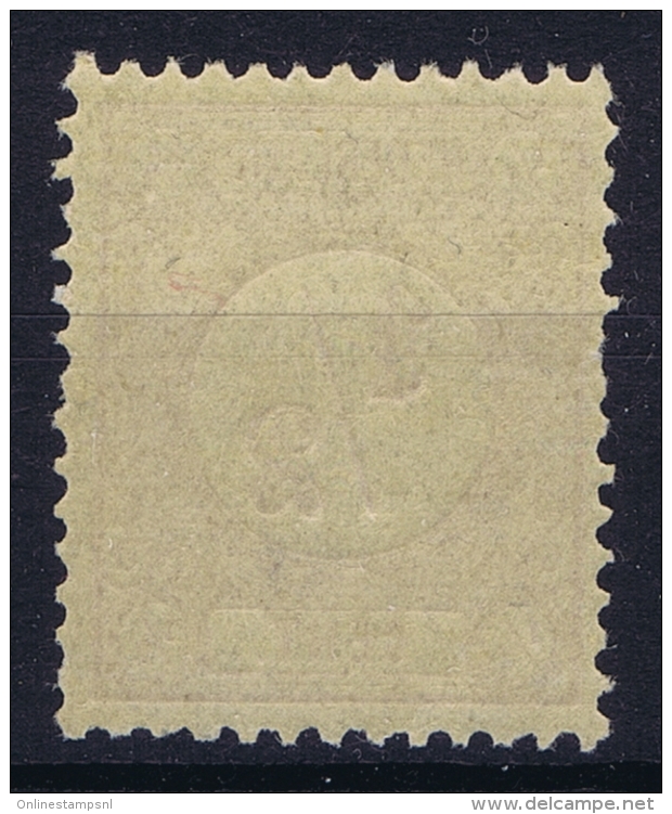 Netherlands : 1876  NVPH Nr 30   MNH/**/postfrisch/neuf Sans Charniere - Ungebraucht