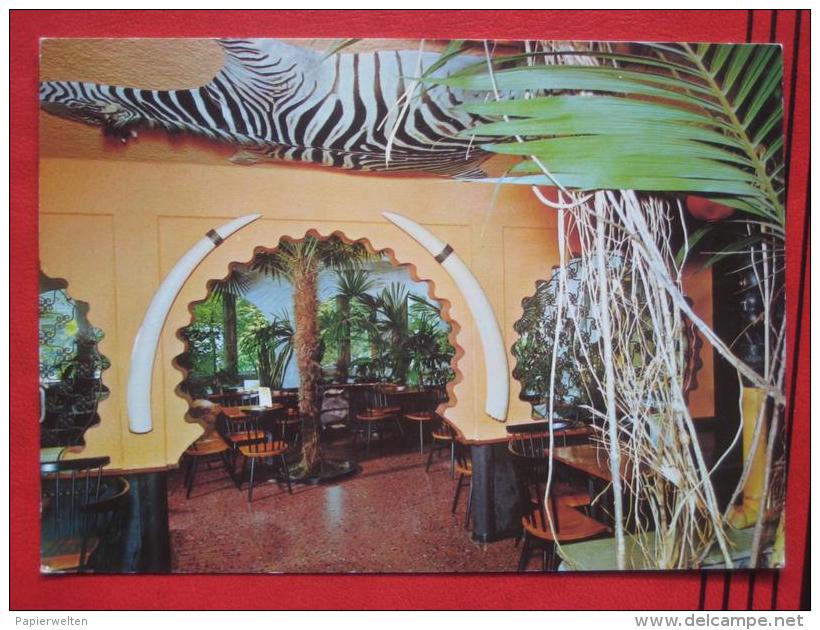 Studen (BE) - Cafe Florida: Jardin D´Hiver "Maroc" - Studen