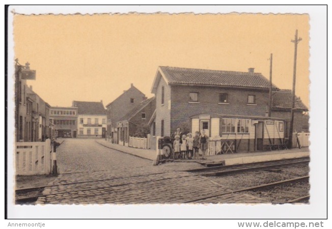 Schelle - Statie En Steenwinkelstraat. - Schelle