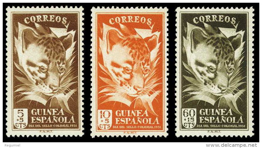 Guinea 306/08 ** Fauna. Genetta. 1951 - Guinea Spagnola