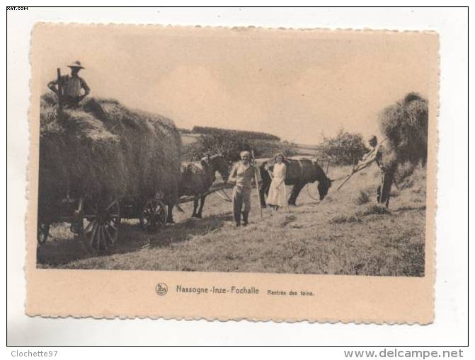 A49 - Nassogne - Inze - Fochalle  Rentrée Des Foins  -  Attelage Ardennais - Nassogne