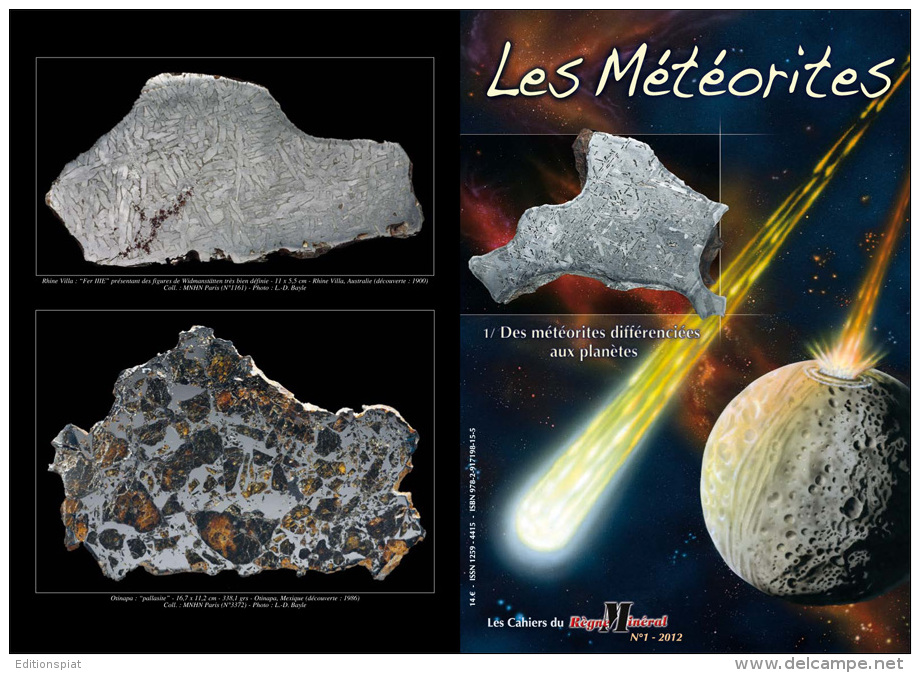 METEORITE DIFFERENCIEE Palasite Ureilite Howardite Achondrite Widmannstätten Enstatite Caille Juvinas Chassigny Alby - Meteorites