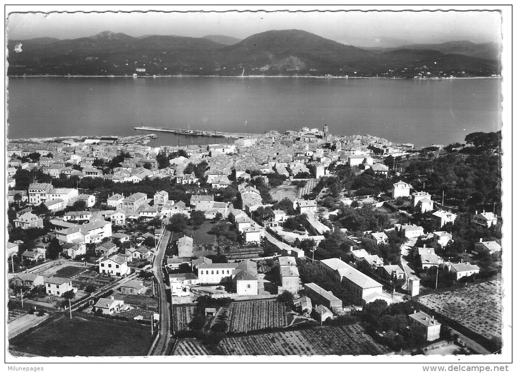 83 VAR Vue Générale De La Ville Et Du Golfe De Saint TROPEZ En 1955 - Saint-Tropez