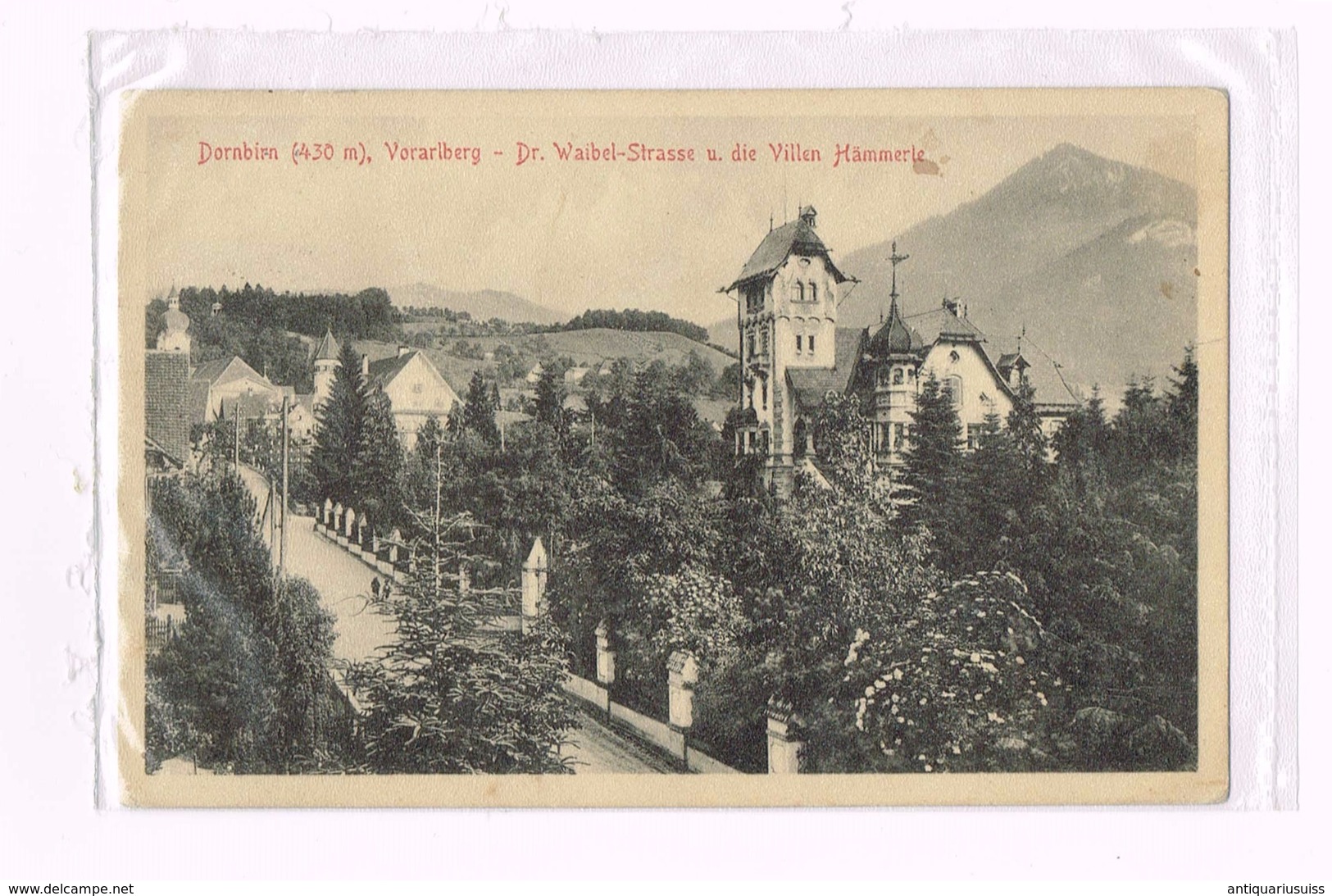 Dornbirn (430 M), Vorarlberg - Dr. Waibel - Strasse U. Die Villen Hämmerle  - Autriche - Österreich - Dornbirn