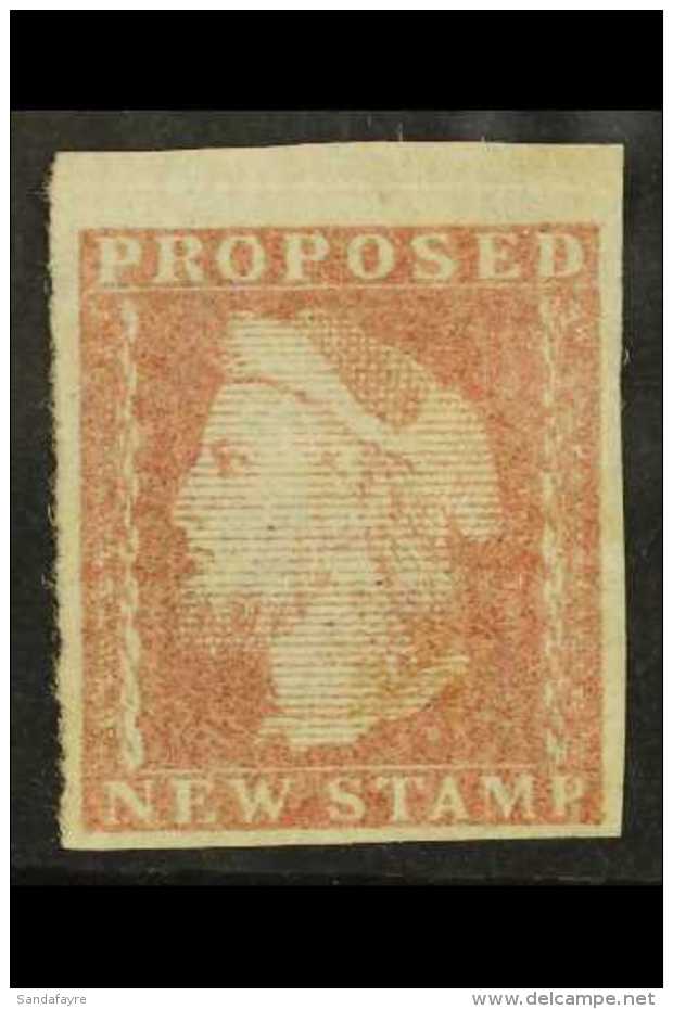 1879 TENDER Essay Inscribed "Proposed New Stamp" In Red-brown, Similar To Charles Skipper Dummy Stamp Illustrated... - Andere & Zonder Classificatie