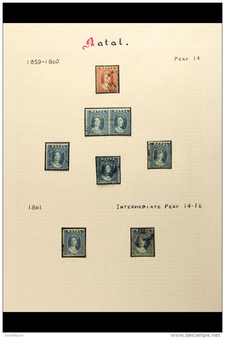 NATAL 1859-63 Fine Used Collection On Pages Which Includes 1859-60 No Wmk 1d Plus 3d X5 (incl A Pair), 1861... - Unclassified