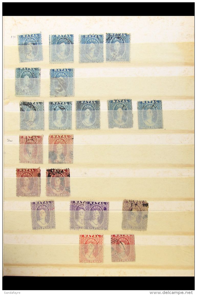 NATAL 1859-1909 ACCUMULATION - Mostly Used And Duplicated Assembly In A Small Stockbook, With Shade And Postmark... - Zonder Classificatie