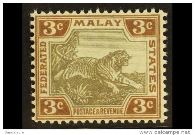 FEDERATED MALAY STATES 1904-22 3c Grey-brown &amp; Brown Ordinary Paper, SG 32a, Never Hinged Mint, Fresh. For... - Andere & Zonder Classificatie