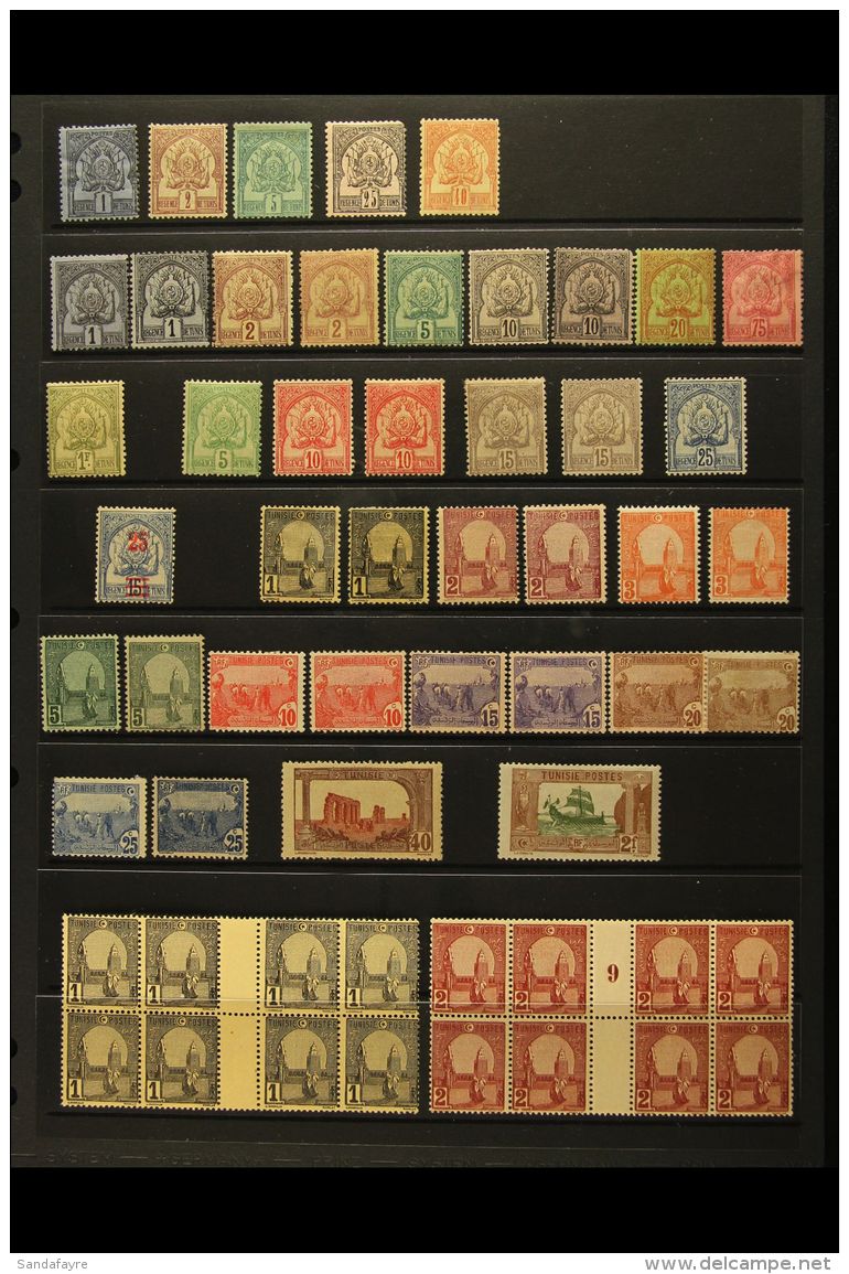 TUNISIA 1888-1954 FINE MINT COLLECTION - Note 1888-93 (thin Numerals) Range To 25c &amp; 40c; 1888-1901 (thick... - Altri & Non Classificati