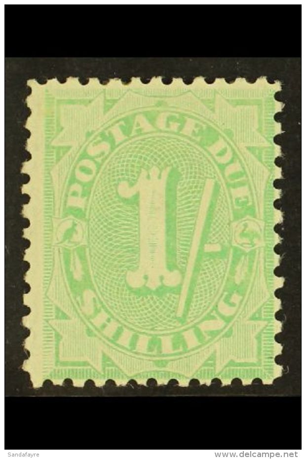 POSTAGE DUE 1908-09 1s Dull Green, Perf 11&frac12; X 11, SG D58, Fine Mint. For More Images, Please Visit... - Autres & Non Classés