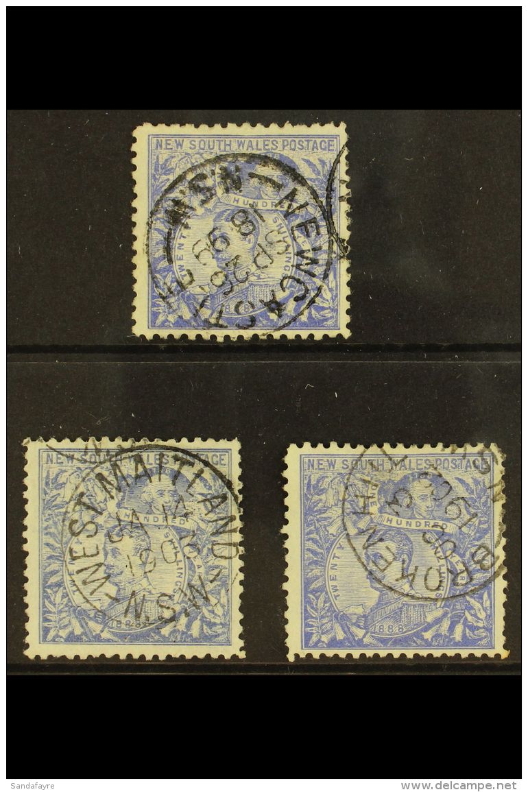NEW SOUTH WALES 1890 USED 5s Blue "Capt Phillip" Trio Inc Perf 11 (SG 264c), Perf 12 (SG 264ca) &amp; Perf 12 X11... - Andere & Zonder Classificatie