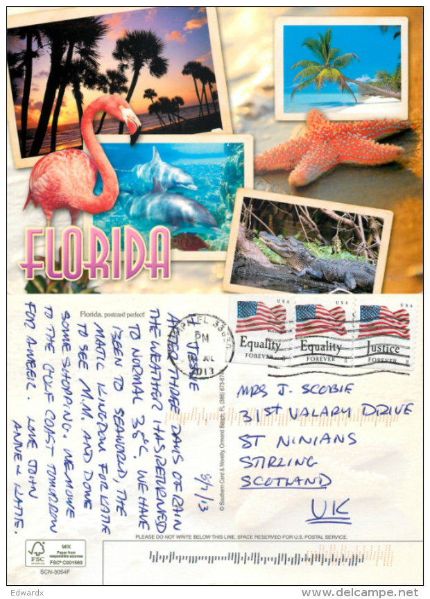 Dolphins, Shell, Florida, United States US Postcard Posted 2013 Stamp - Altri & Non Classificati