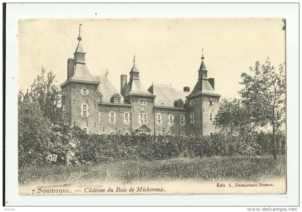 Soumagne  *   Chateau Du Bois De Micheroux - Soumagne