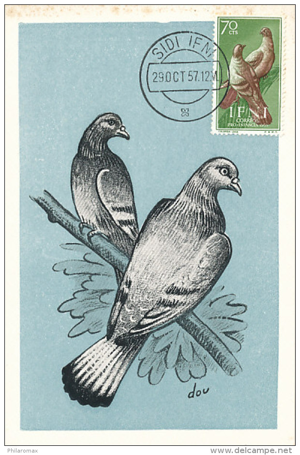 D26707 CARTE MAXIMUM CARD 1957 IFNI - PIGEON DOVE CP ORIGINAL - Piccioni & Colombe