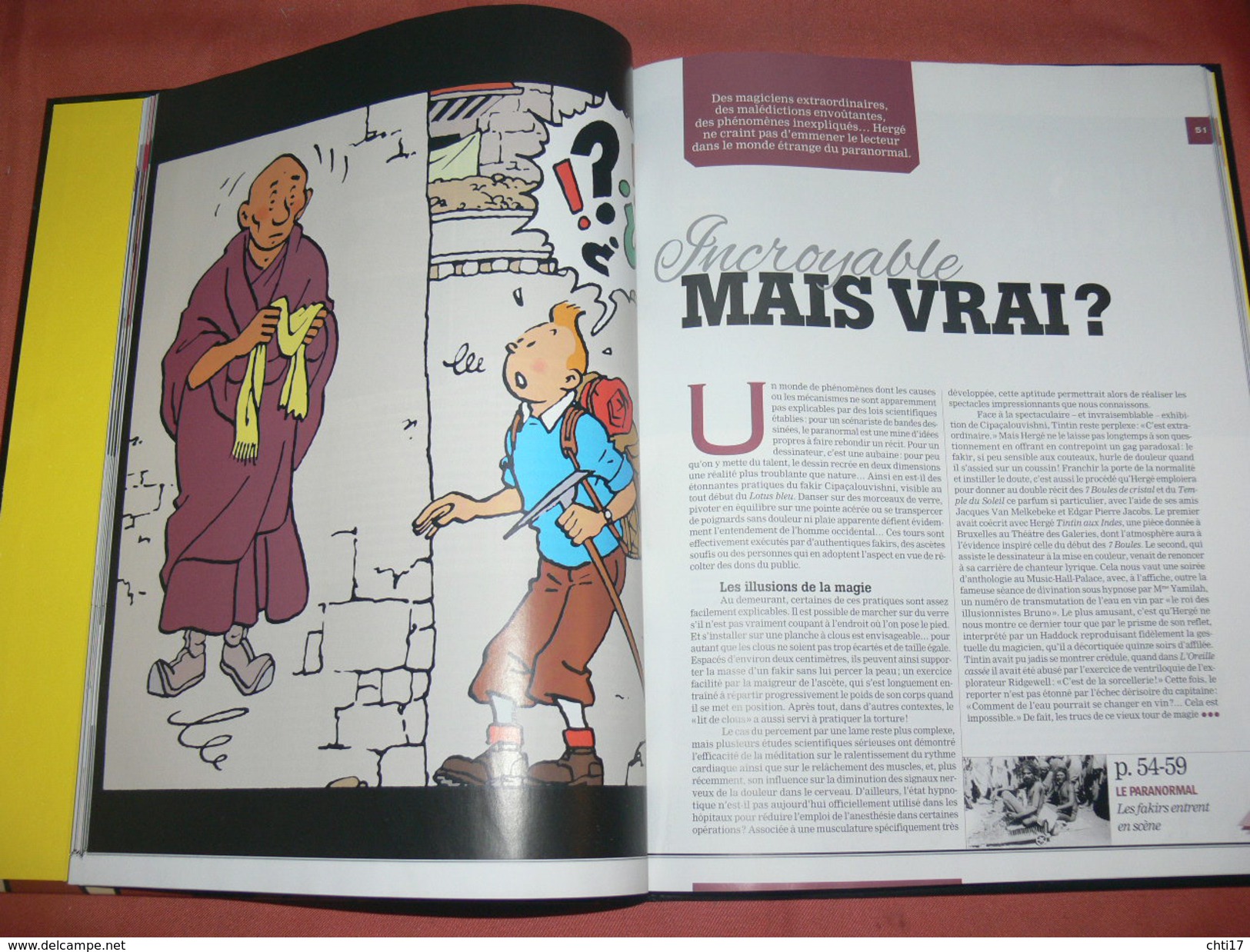 TINTIN / HERGE/ LES FORCES OBSCURES QUI ONT INSPIRES HERGE / REVE VOYANCE HYPNOSE RADIESTHESIE FOLIE SUPERSTITION /2013