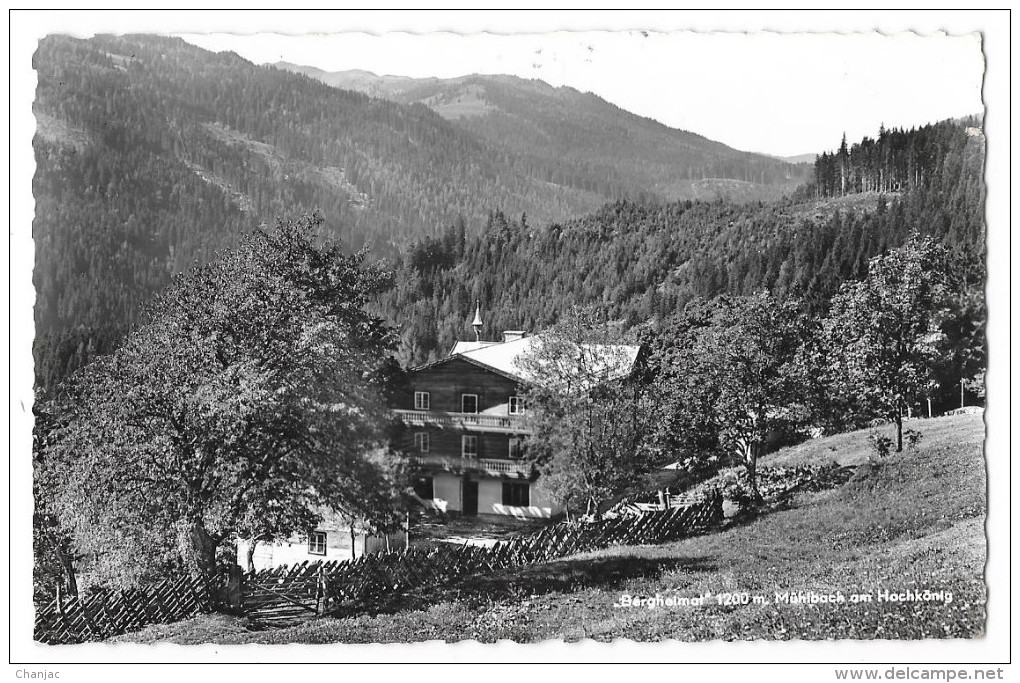 Cpsm: AUTRICHE - BERGHELMAT  1200 M - Mühlbach Am Hochkönig  1964 - Neukirchen Am Grossvenediger