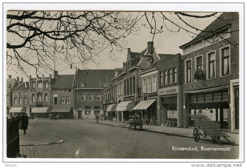 Roosendaal Bloemenmarkt Postcard Netherlands Nederland - Roosendaal