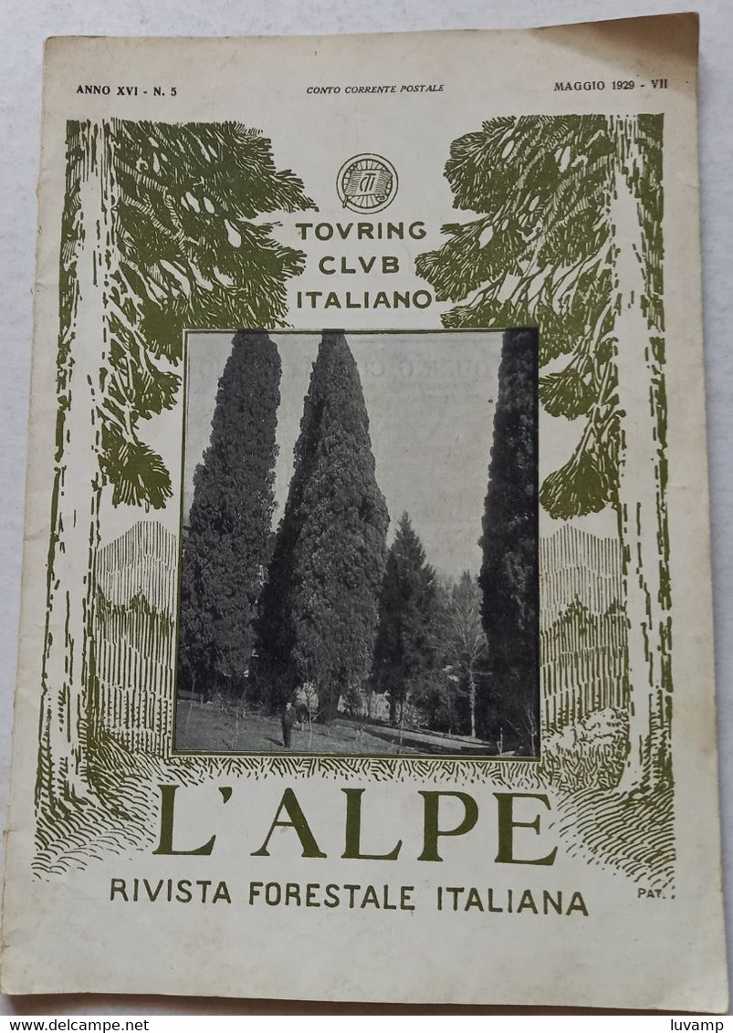 L'ALPE -T.C.I. -RIVISTA FORESTALE ITALIANA  DEL   MAGGIO 1929 (CART 76) - Nature