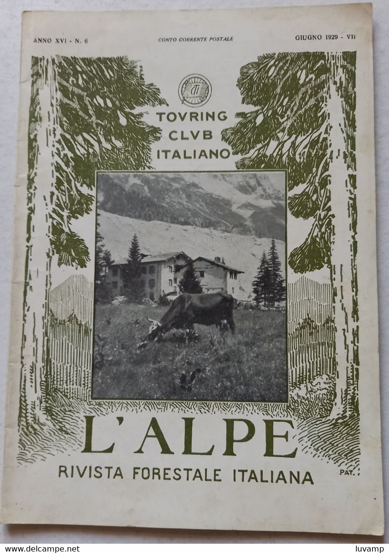 L'ALPE -T.C.I. -RIVISTA FORESTALE ITALIANA  DEL  GIUGNO 1929 (CART 76) - Natur