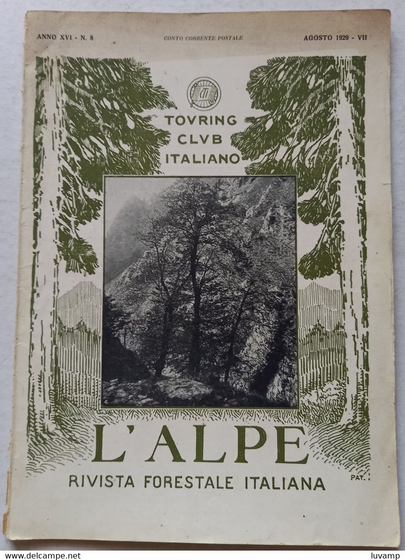 L'ALPE -T.C.I. -RIVISTA FORESTALE ITALIANA  DEL  AGOSTO 1929 (CART 76) - Nature