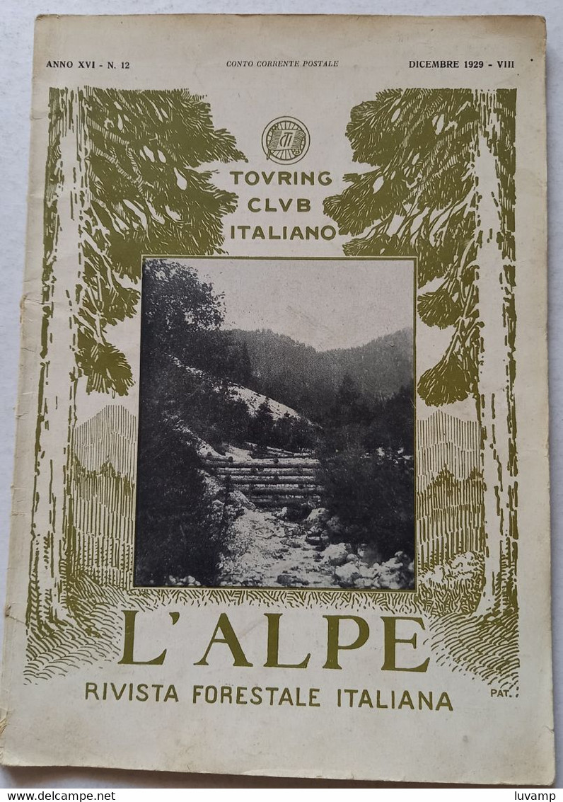 L'ALPE -T.C.I. -RIVISTA FORESTALE ITALIANA  DEL DICEMBRE 1929 (CART 76) - Natur